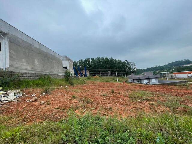 #TE001 - Terreno para Venda em Montenegro - RS - 3