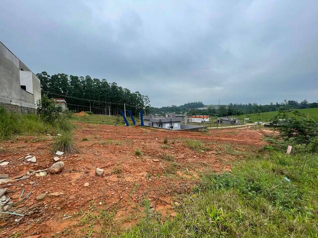 #TE001 - Terreno para Venda em Montenegro - RS - 2