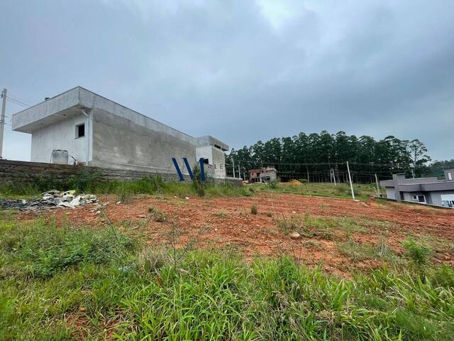 #TE001 - Terreno para Venda em Montenegro - RS - 1