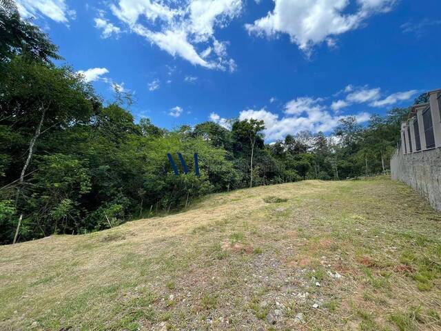 Terreno para Venda em Montenegro - 4
