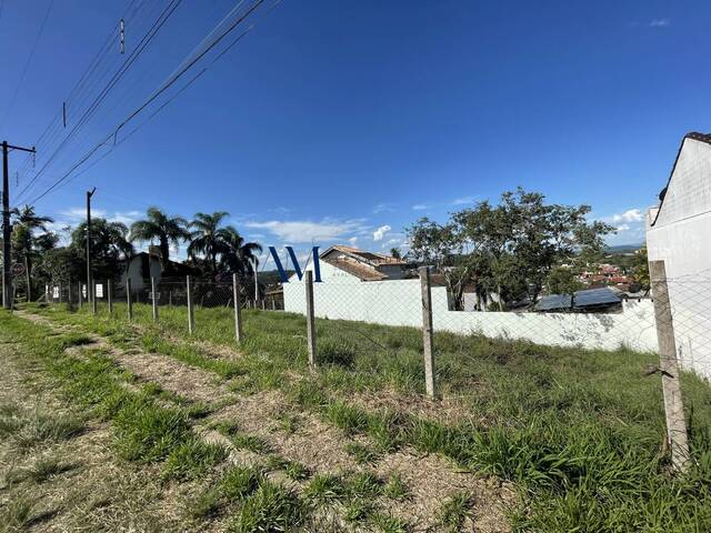 Terreno para Venda em Montenegro - 4