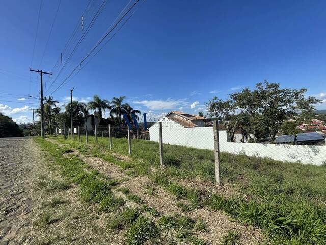 Terreno para Venda em Montenegro - 5