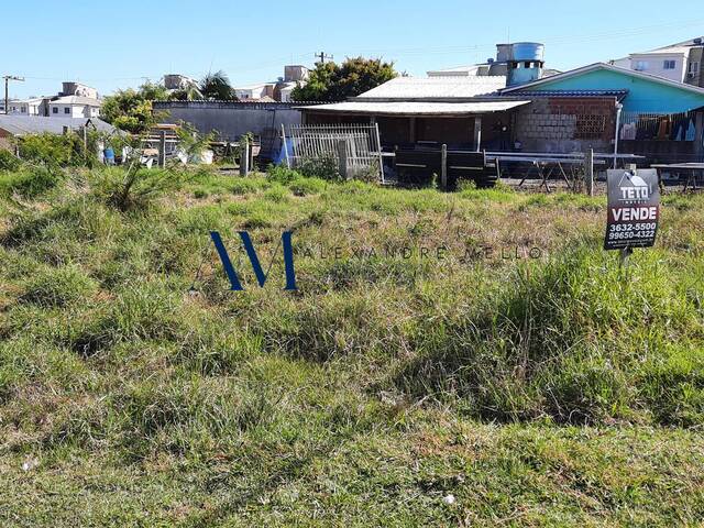 #TE012 - Terreno para Venda em Montenegro - RS - 2