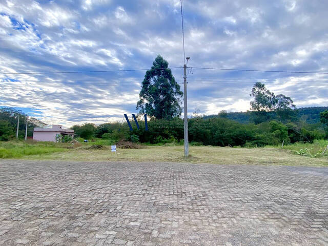 Terreno para Venda em Montenegro - 4