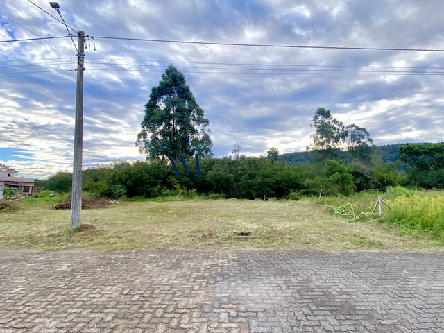 Terreno para Venda em Montenegro - 4