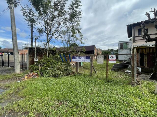 Terreno para Venda em Montenegro - 4