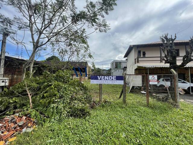Terreno para Venda em Montenegro - 5