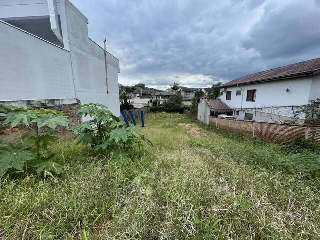 Terreno para Venda em Montenegro - 5