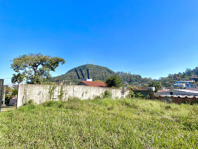 Terreno para Venda em Montenegro - 5
