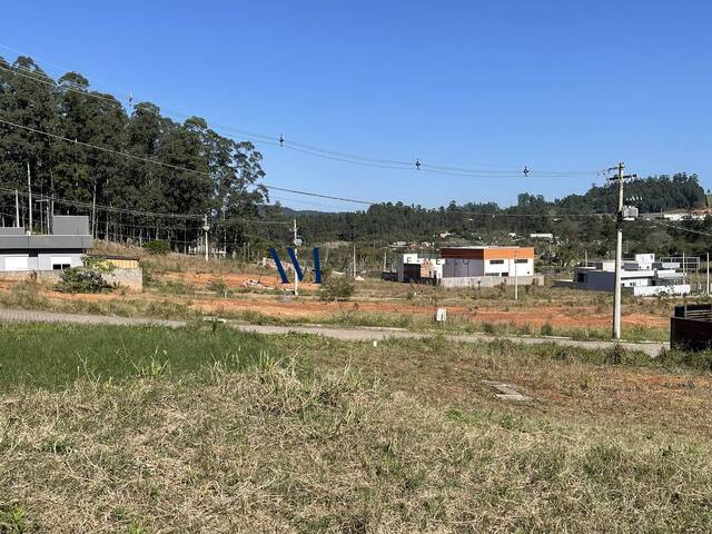 #TE032 - Terreno para Venda em Montenegro - RS - 3