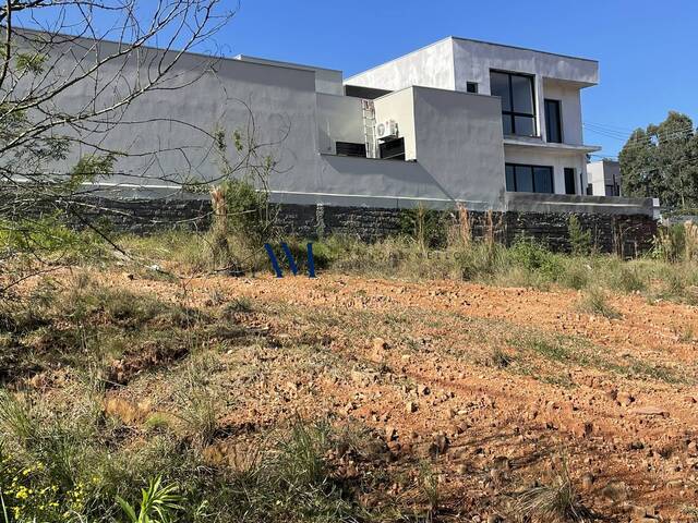 Terreno para Venda em Montenegro - 4