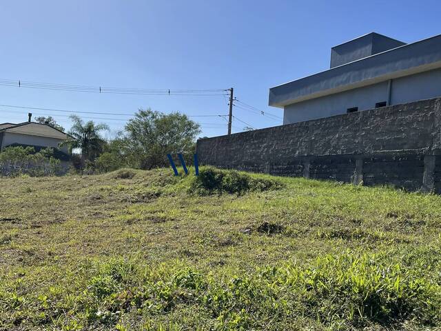 Terreno para Venda em Montenegro - 5