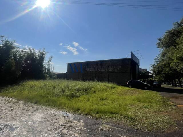 Área para Venda em Montenegro - 4