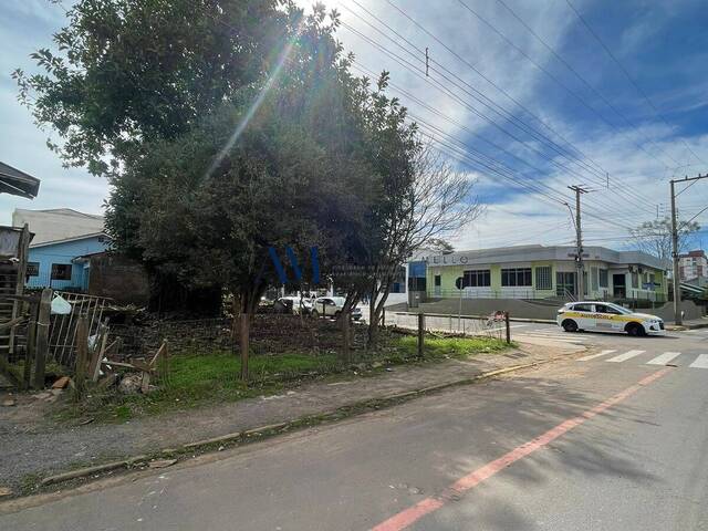 #TE040 - Área para Venda em Montenegro - RS - 3
