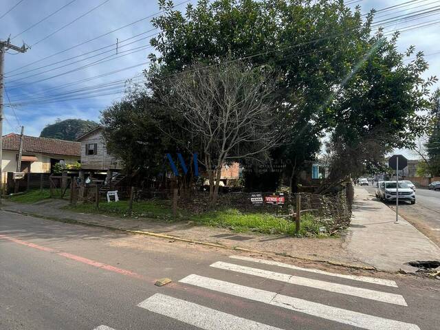 Área para Venda em Montenegro - 5