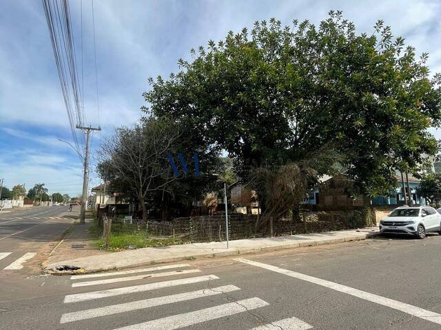 Área para Venda em Montenegro - 4