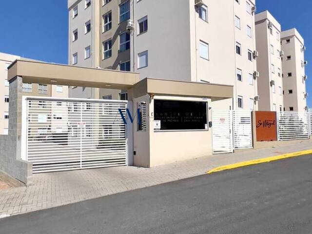 Venda em Timbauva - Montenegro