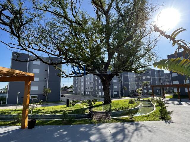 Venda em Timbauva - Montenegro