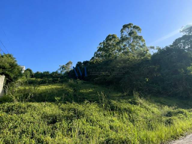 #TE045 - Área para Venda em Montenegro - RS - 1