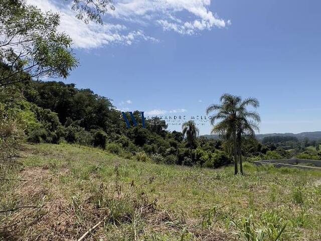 #TE049 - Terreno para Venda em Pareci Novo - RS