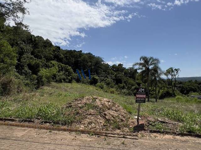 #TE049 - Terreno para Venda em Pareci Novo - RS