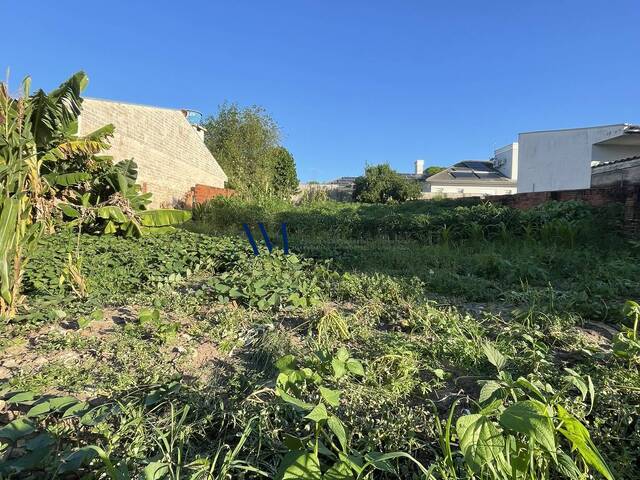 Área para Venda em Montenegro - 4