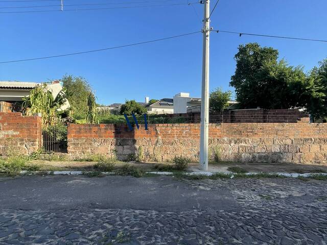 Área para Venda em Montenegro - 5