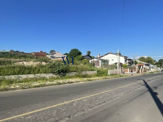 Terreno para Venda em Montenegro - 4