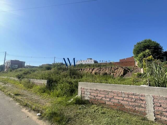 Terreno para Venda em Montenegro - 5