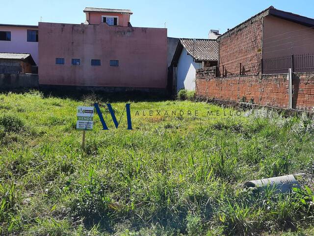 #TE057 - Área para Venda em Montenegro - RS - 1