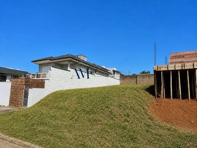 Terreno para Venda em Montenegro - 3