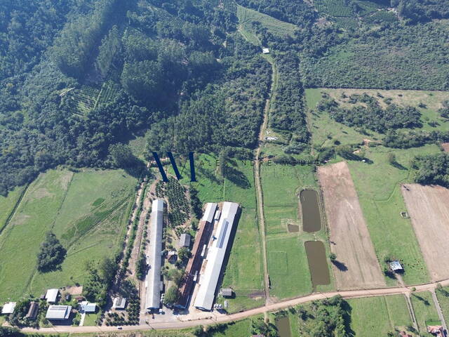 #CH003 - Chácara para Venda em Montenegro - RS - 1