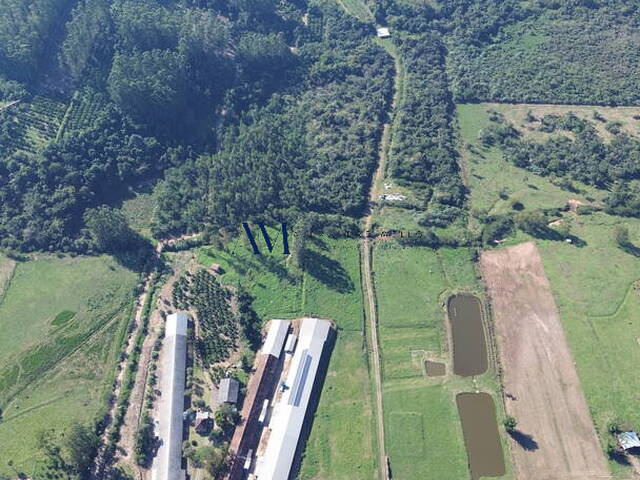 #CH003 - Chácara para Venda em Montenegro - RS - 2