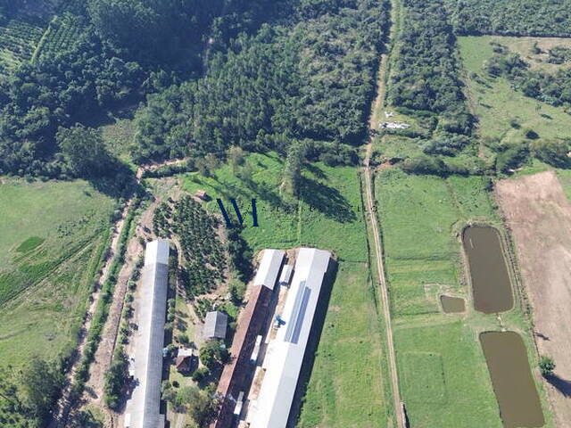 #CH003 - Chácara para Venda em Montenegro - RS - 3