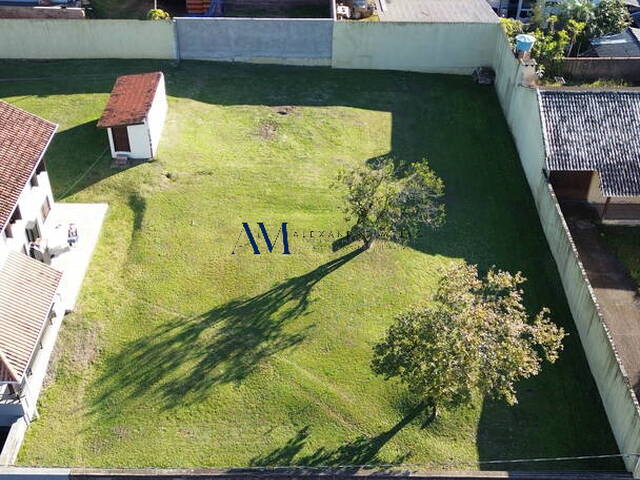 Terreno para Venda em Montenegro - 3